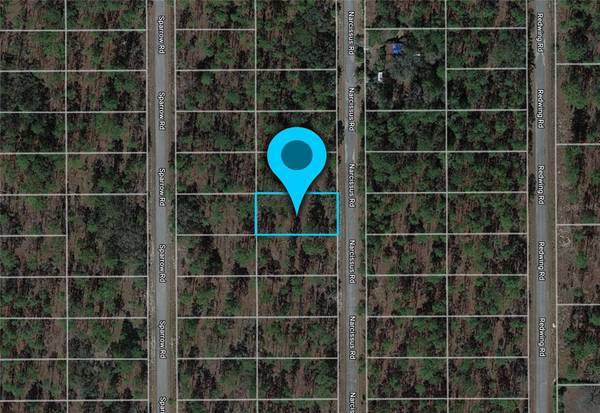 Lot 47 NW NARCISSUS RD, Dunnellon, FL 34431