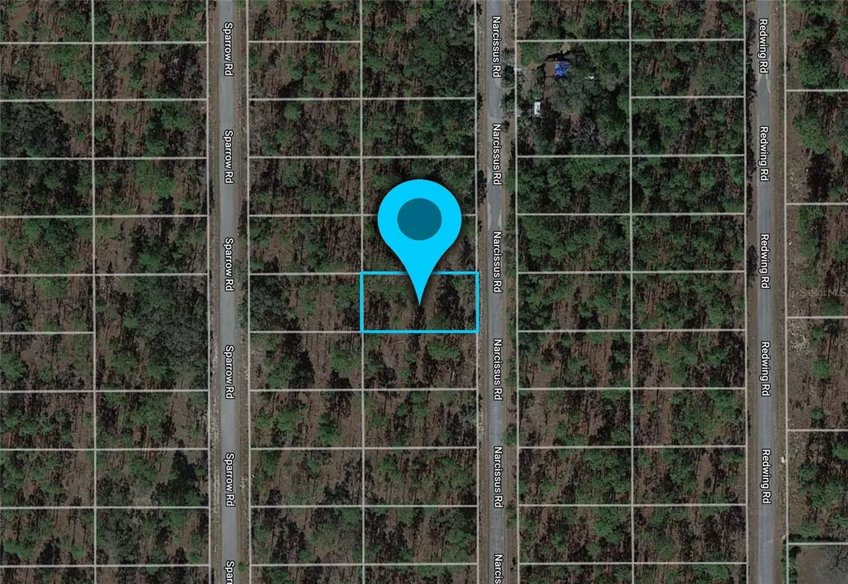 Dunnellon, FL 34431,Lot 47 NW NARCISSUS RD