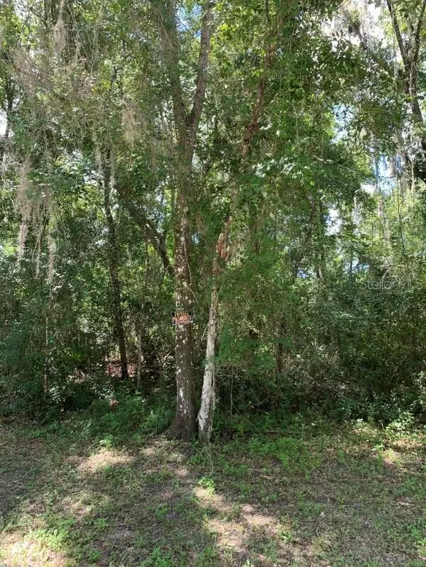 Webster, FL 33597,7335 PACKINGHAM DR