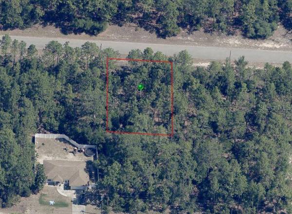 9335 N FAIRY LILY DR, Dunnellon, FL 34433