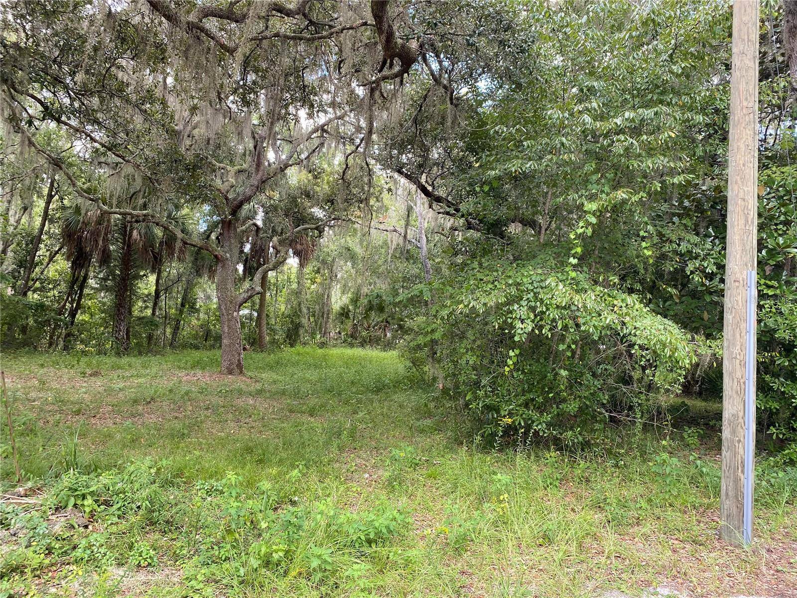 Lake Panasoffkee, FL 33538,CR 448C