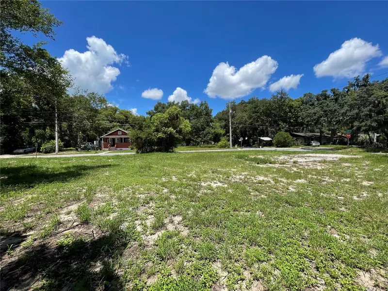 404 GRANT AVE, Mount Dora, FL 32757