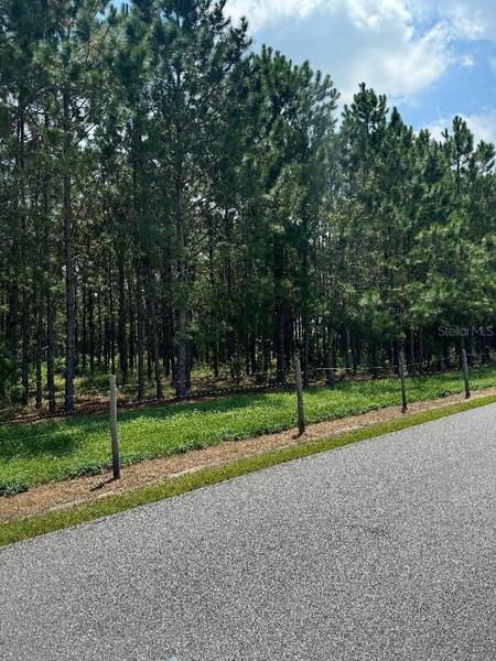 00 CR 227 RD, Oxford, FL 34484