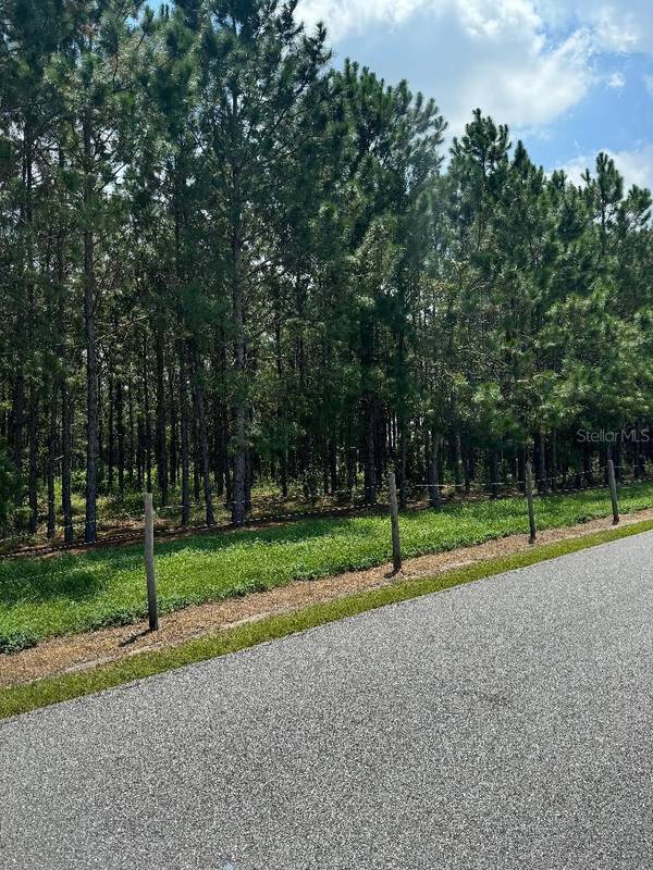 00 CR 227 RD, Oxford, FL 34484