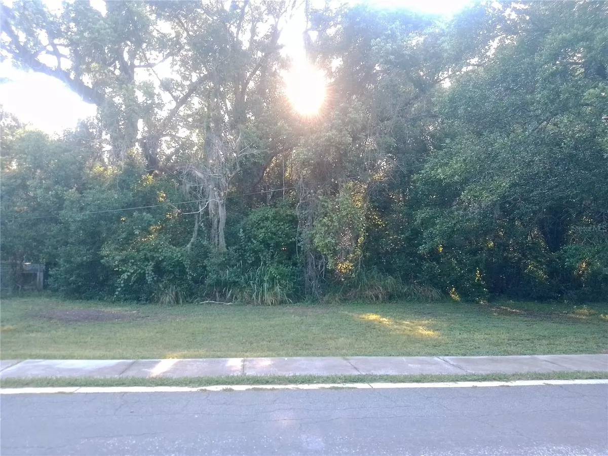 Mount Dora, FL 32757,GORHAM ST