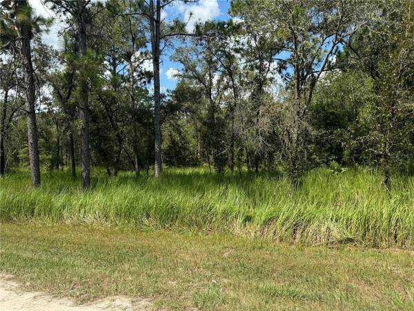 0000 SW 125TH COURT RD,  Dunnellon,  FL 34432