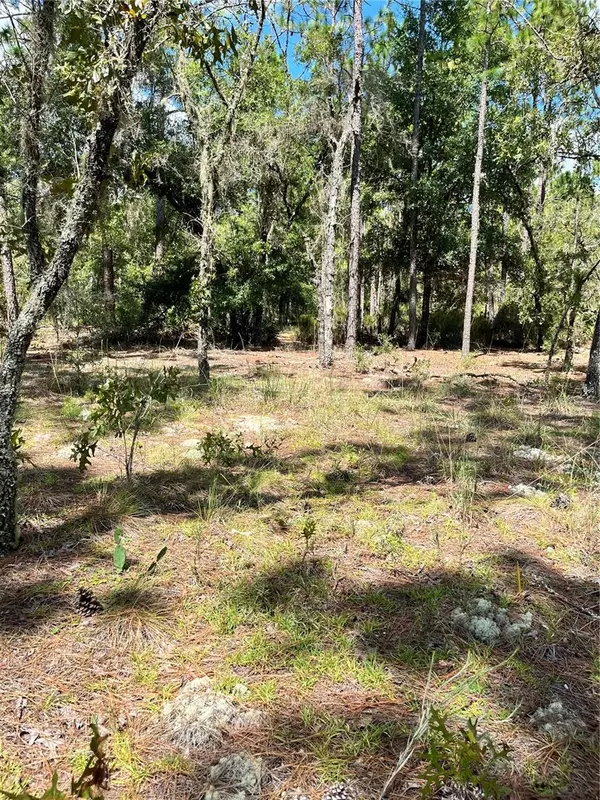 Ocala, FL 34481,TBD SW 156TH CT