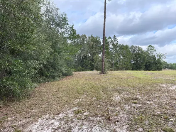 Bronson, FL 32621,00 NE 108TH CT