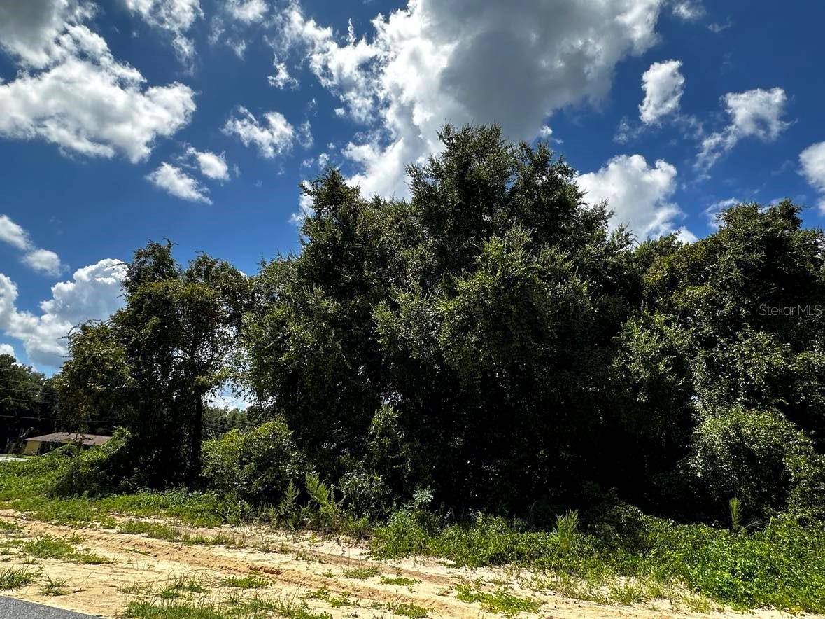 3454 SW 130TH LANE RD, Ocala, FL 34470