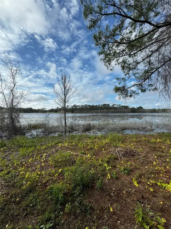 Altoona, FL 32702,LOT 2 KEENE RD