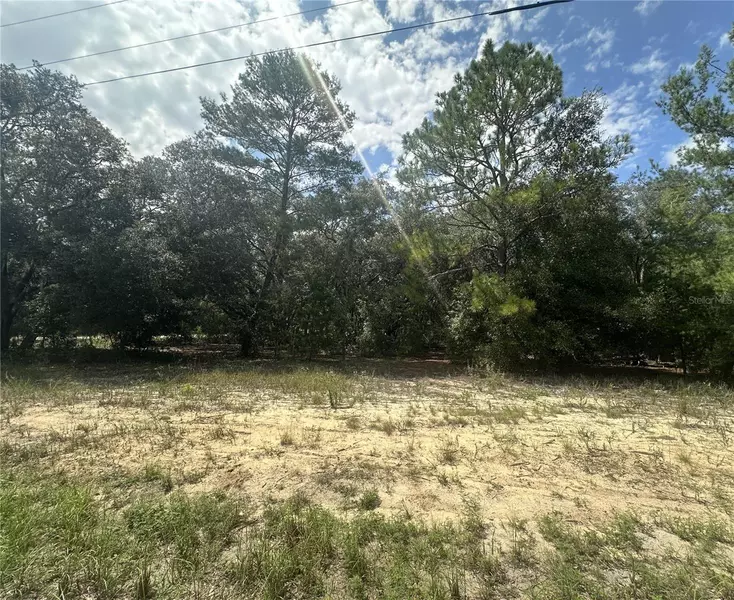 00 FISHER WAY TRL, Ocklawaha, FL 32179