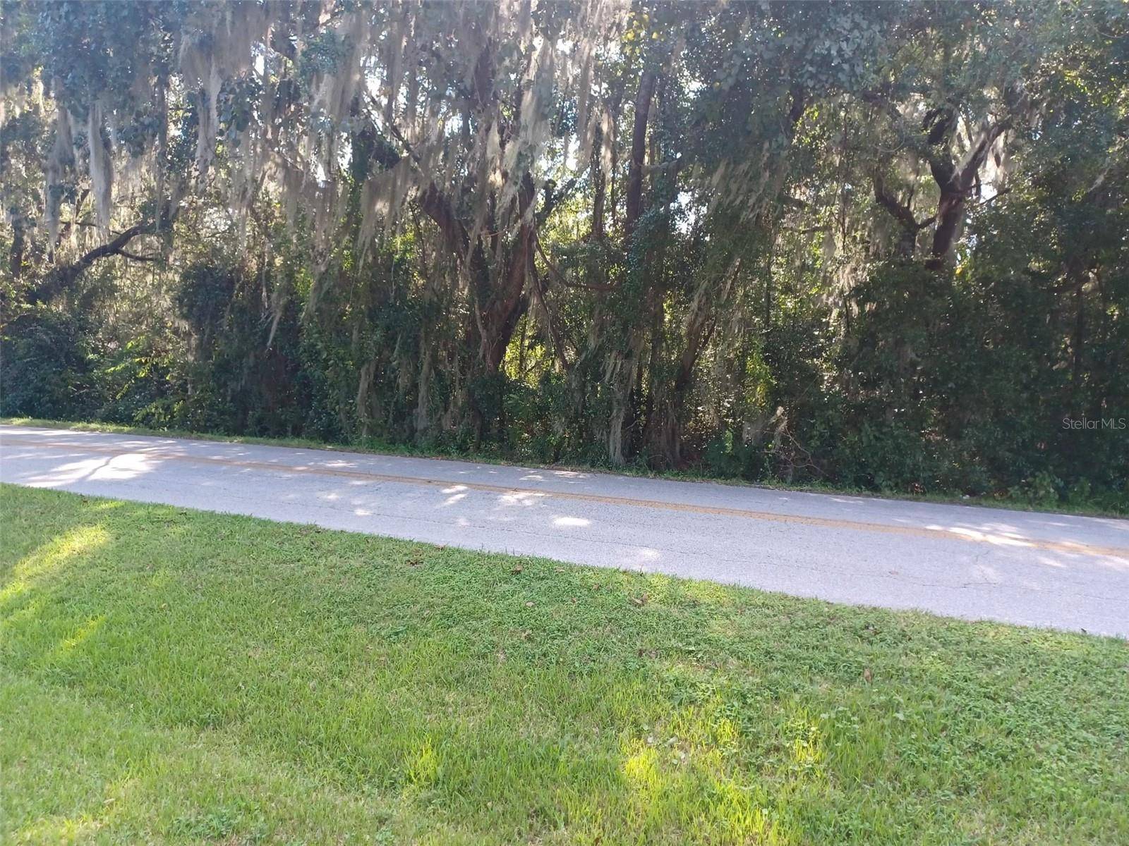 UNDETERMINED,  Summerfield,  FL 34491