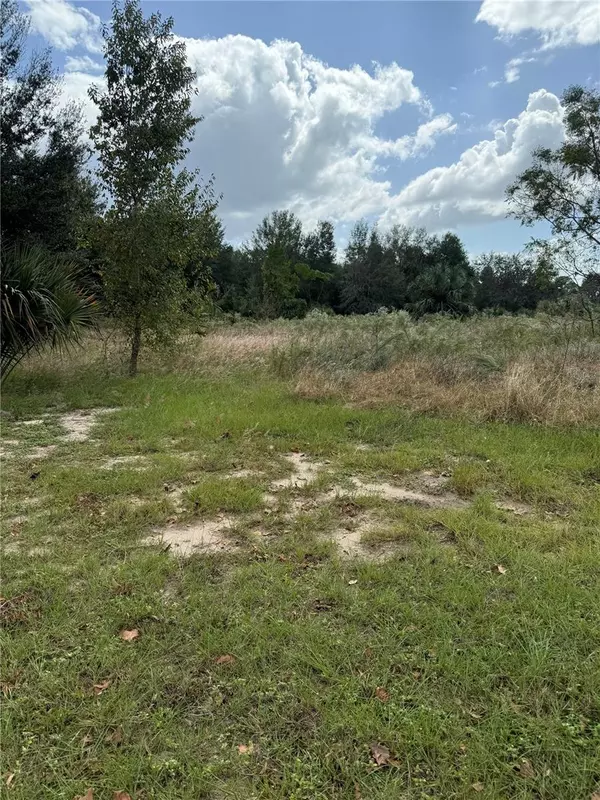 Fruitland Park, FL 34731,OAK ST