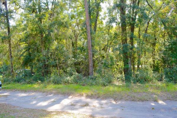 TBD NE 162ND PL, Citra, FL 32113