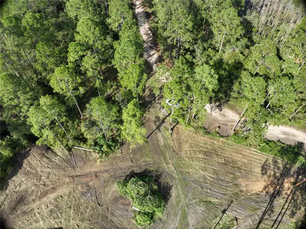 Groveland, FL 34736,5642 GOFF ISLAND RD
