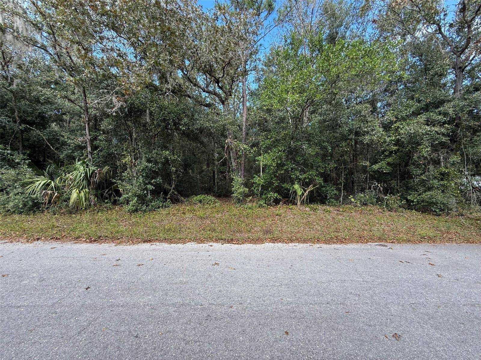2625 W PHARAOH CT,  Lecanto,  FL 34461