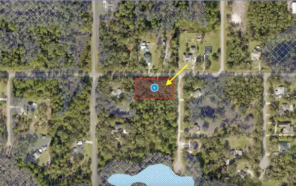 Eustis, FL 32736,LOT 10 E CASHEW CT