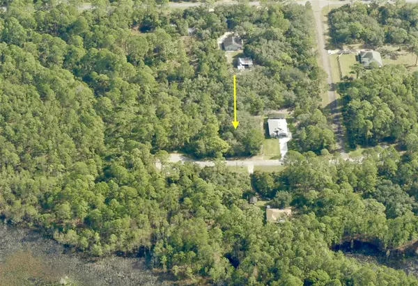 Eustis, FL 32736,LOT 7 CHINABERRY WAY