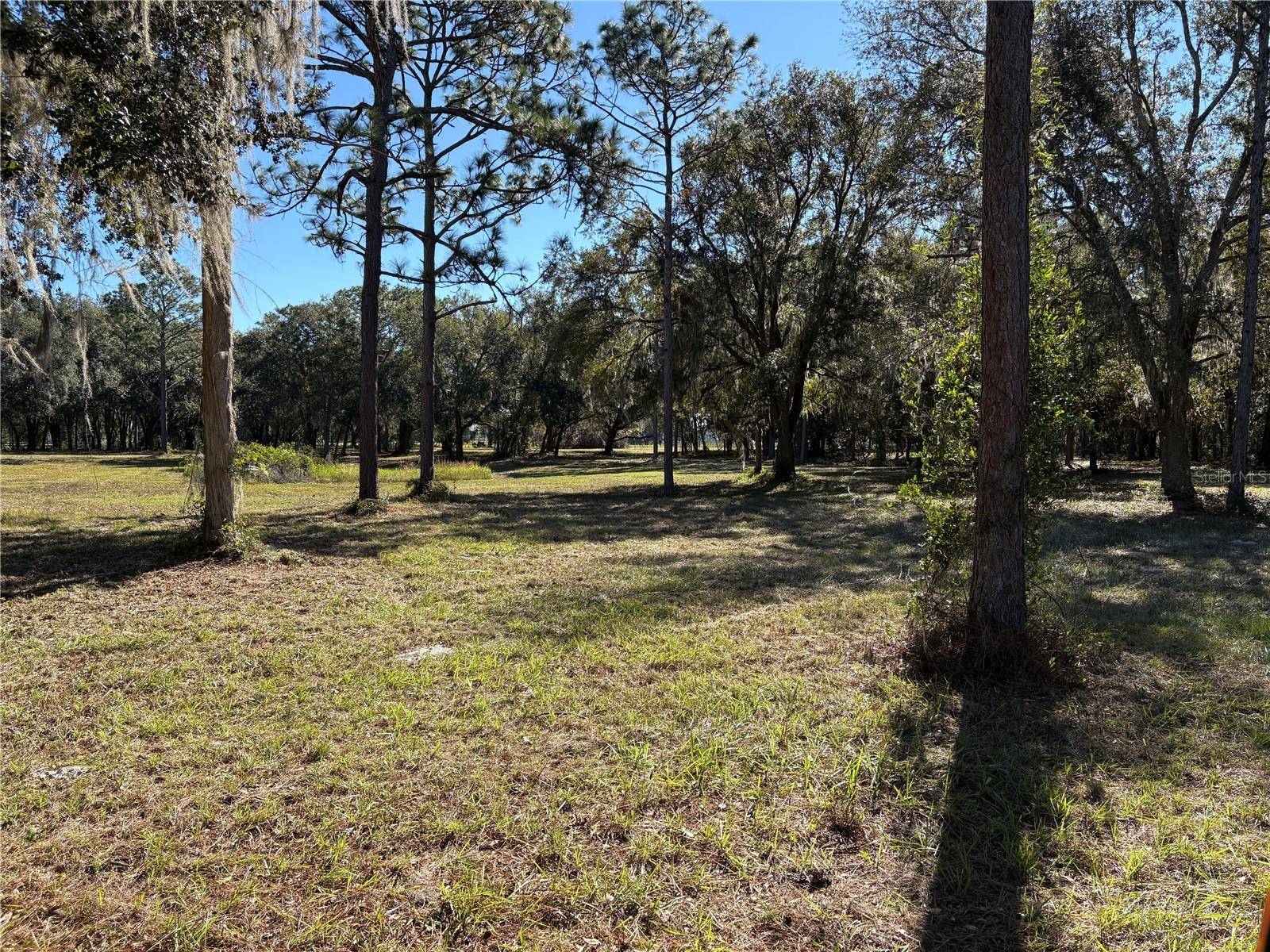 Lake Panasoffkee, FL 33538,CR 416N