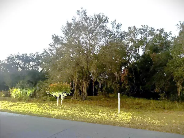 Lady Lake, FL 32159,W HERMOSA ST