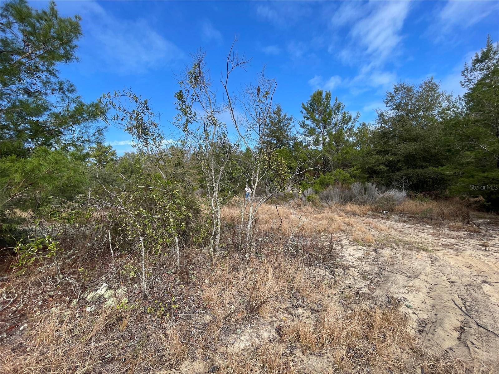 Interlachen, FL 32148,STATE ROAD 20