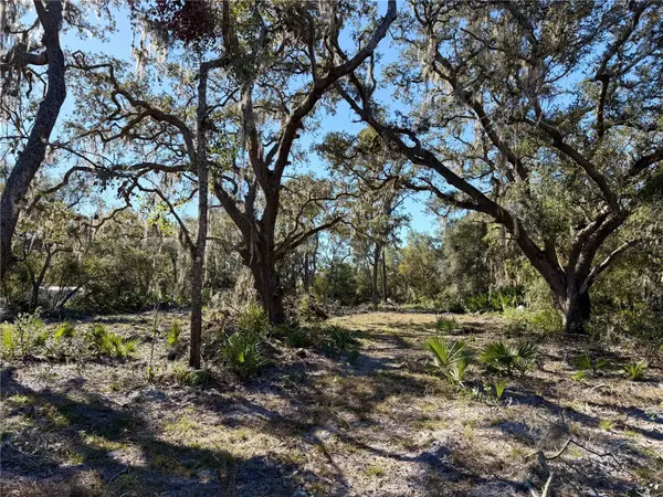 Eustis, FL 32736,LOT 13 APRICOT AVE