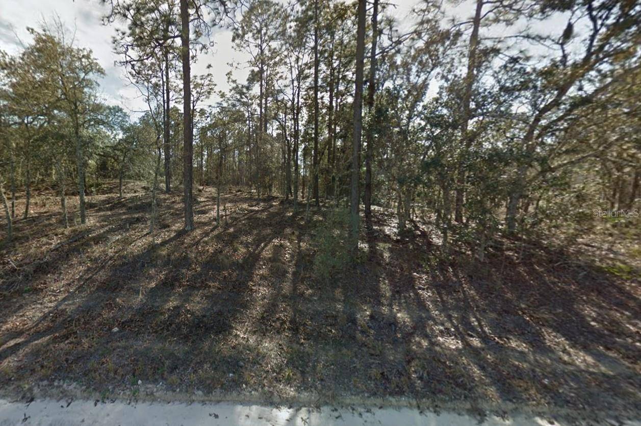 0 SE 21ST PL, Morriston, FL 32668
