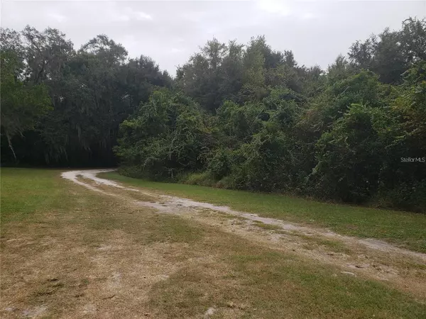 Groveland, FL 34736,16451 FORREST LN