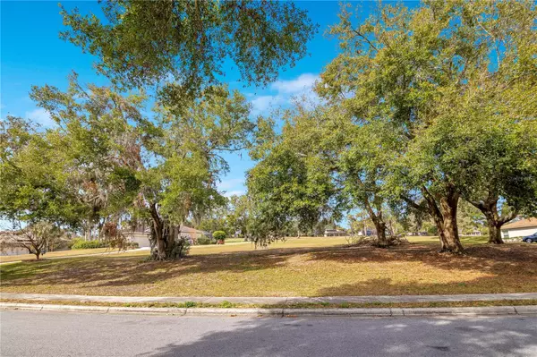 Lady Lake, FL 32159,Lot 17 GRIFFIN LNDG