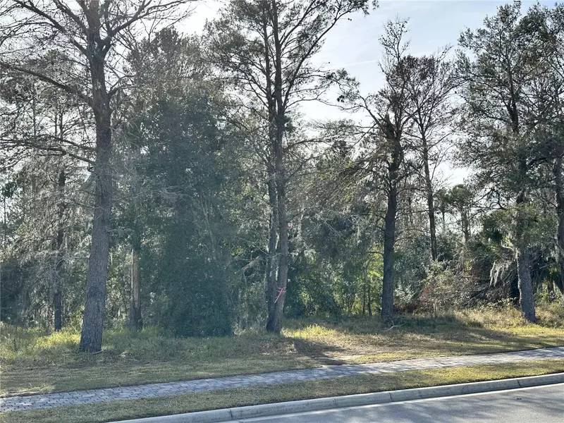 16015 PENDIO DR, Bella Collina, FL 34756
