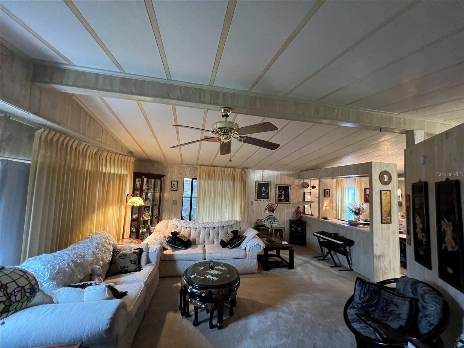 Wildwood, FL 34785,109 LYONIA LN