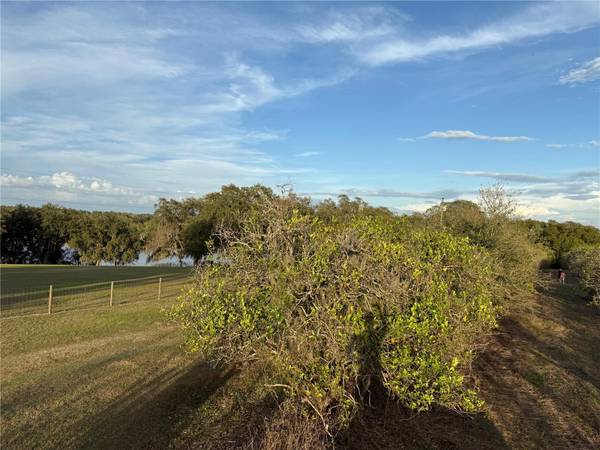 SE 165TH AVE, Weirsdale, FL 32195