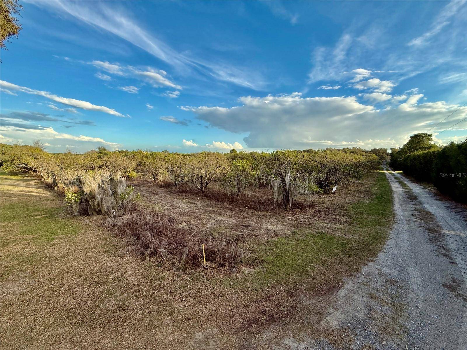 Weirsdale, FL 32195,SE 165TH AVE