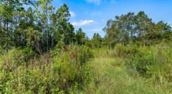 Clermont, FL 34714,OIL WELL RD