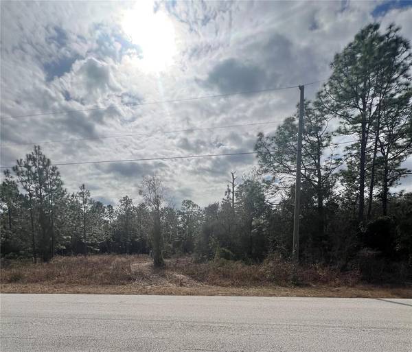 TBD SW TIGER LAKE BLVD, Dunnellon, FL 34431