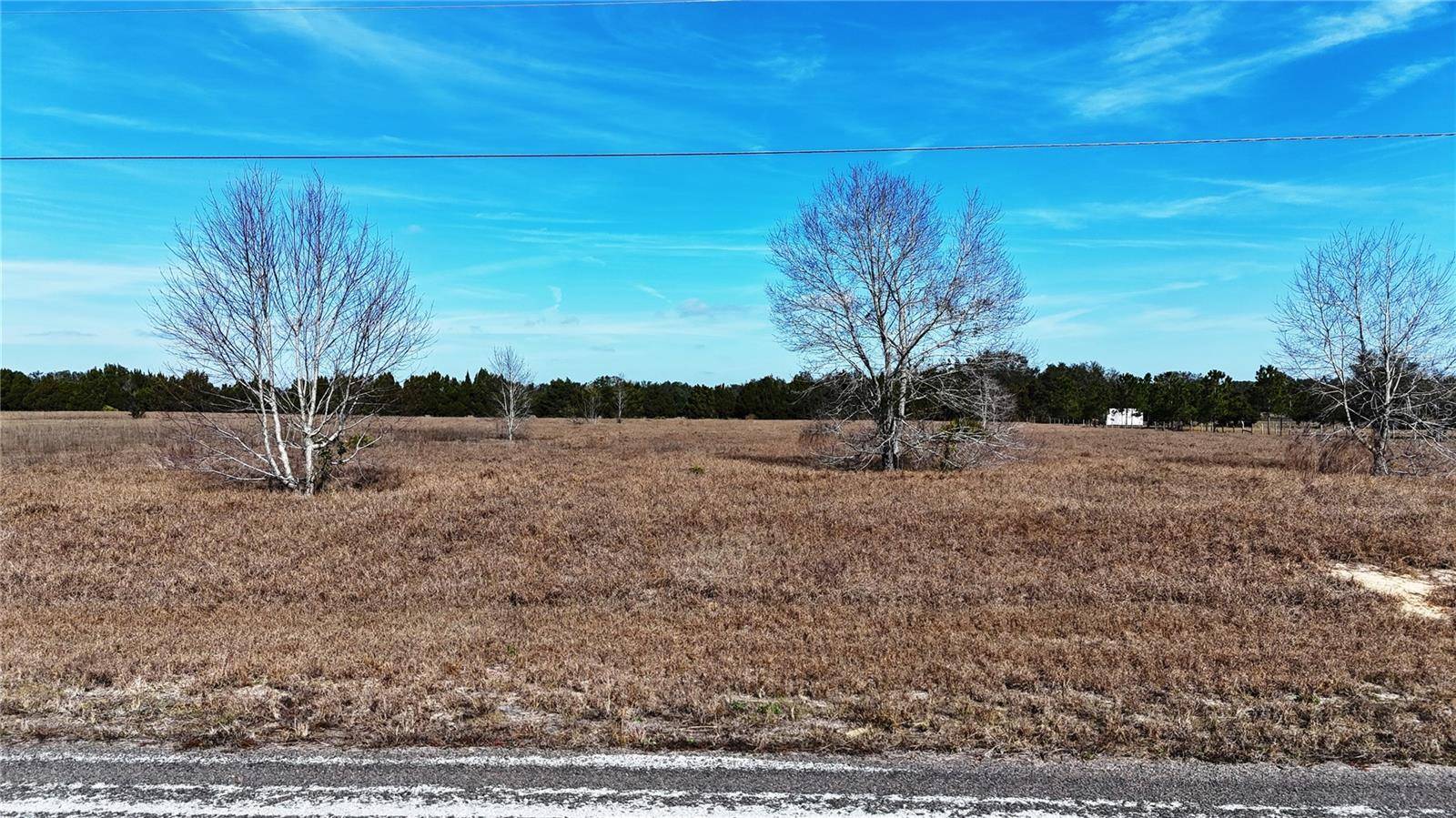 Groveland, FL 34736,HAMMOCK GROVE RD