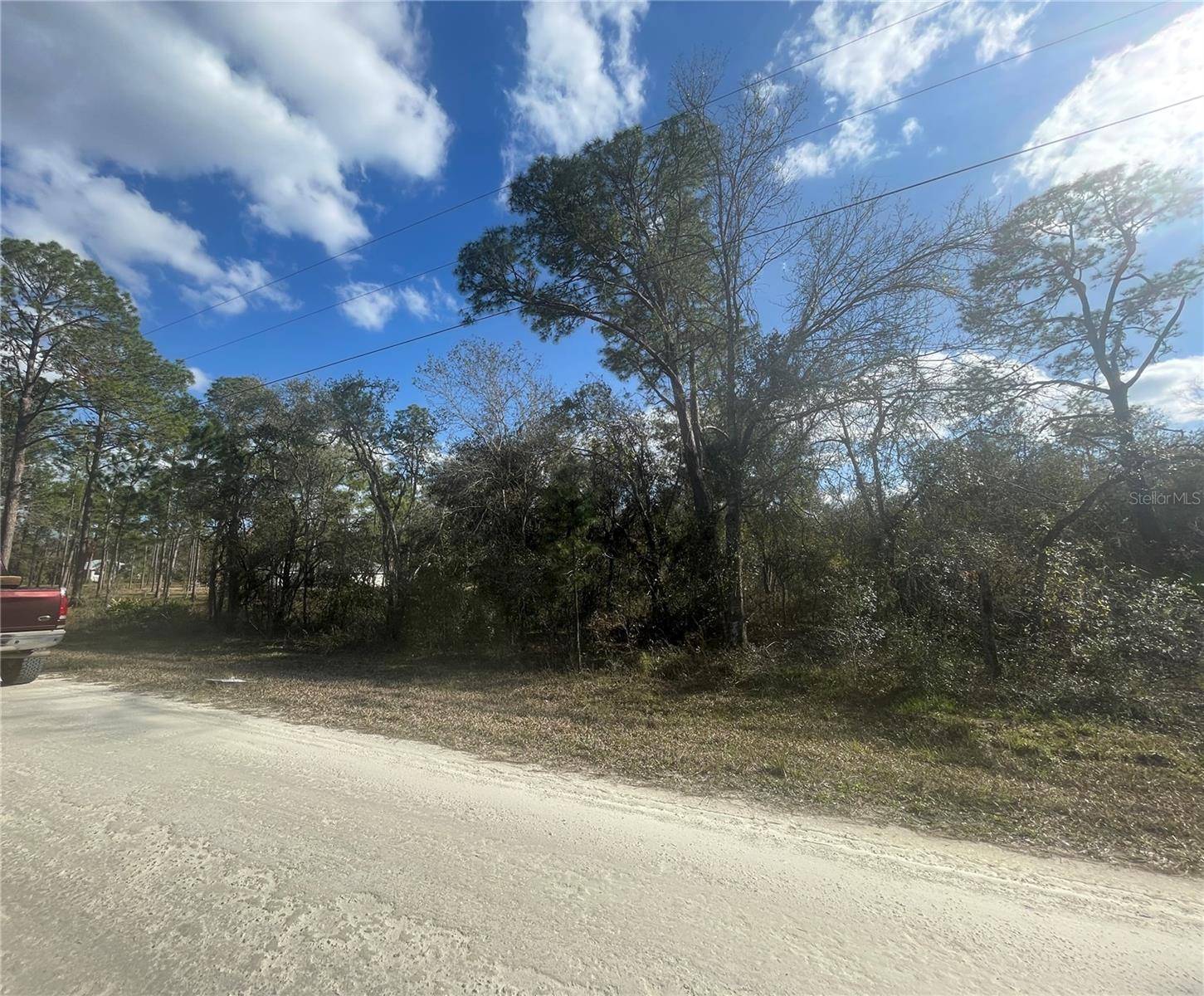 Webster, FL 33597,BUTTERNUT DR