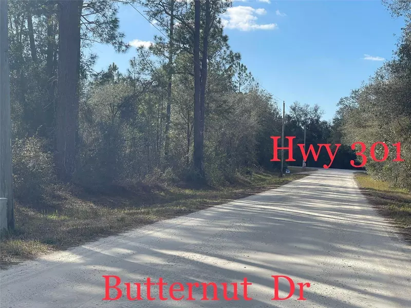 BUTTERNUT DR, Webster, FL 33597