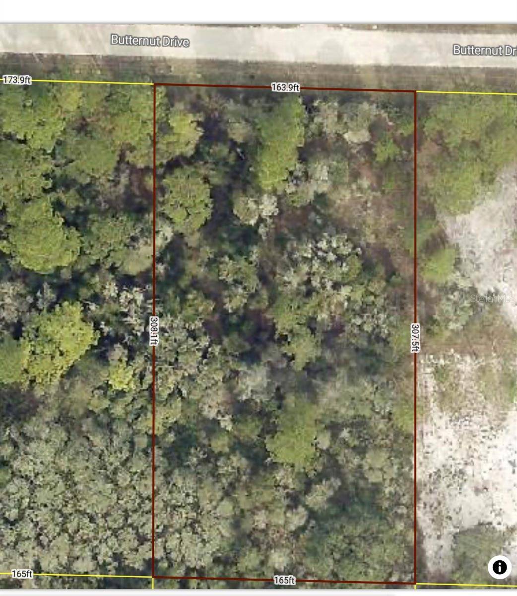 Webster, FL 33597,BUTTERNUT DR