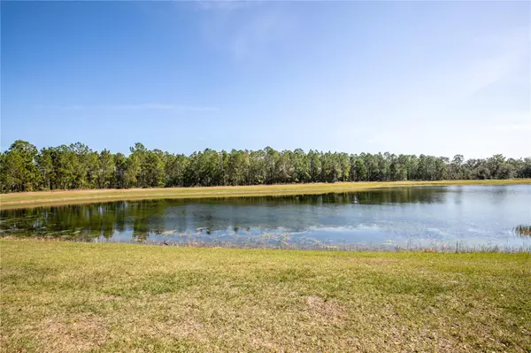 Clermont, FL 34714,16825 SUNRISE VISTA DR