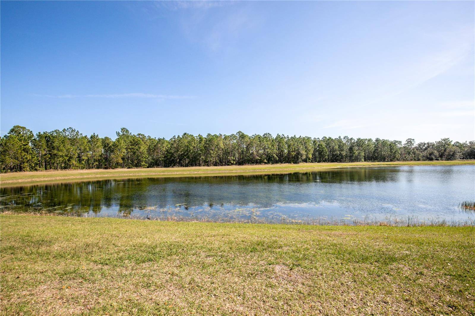 Clermont, FL 34714,16825 SUNRISE VISTA DR