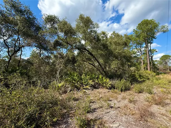 Eustis, FL 32736,Lot 15 ROYAL TRAILS RD