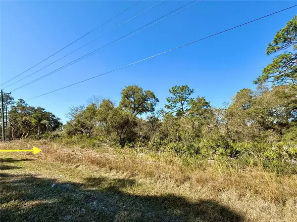 Eustis, FL 32736,Lot 15 ROYAL TRAILS RD