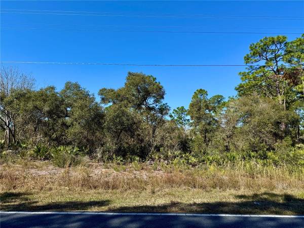 Lot 15 ROYAL TRAILS RD, Eustis, FL 32736