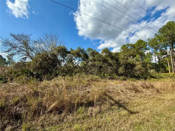 Eustis, FL 32736,Lot 15 ROYAL TRAILS RD