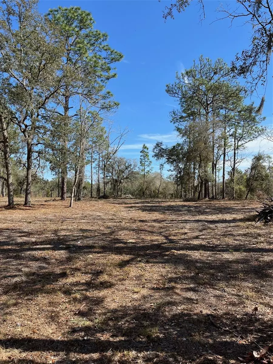 Williston, FL 32696,00 NE 6TH ST