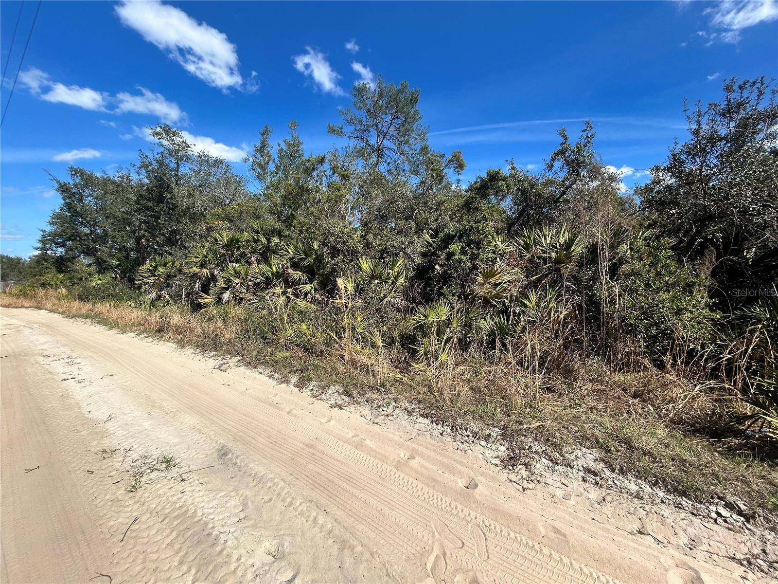Altoona, FL 32702,DEER CROSSING RD