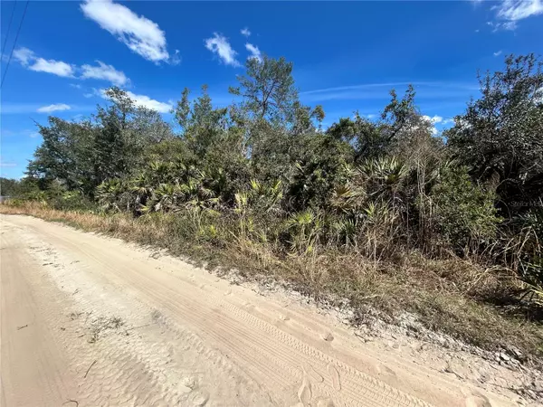 Altoona, FL 32702,DEER CROSSING RD