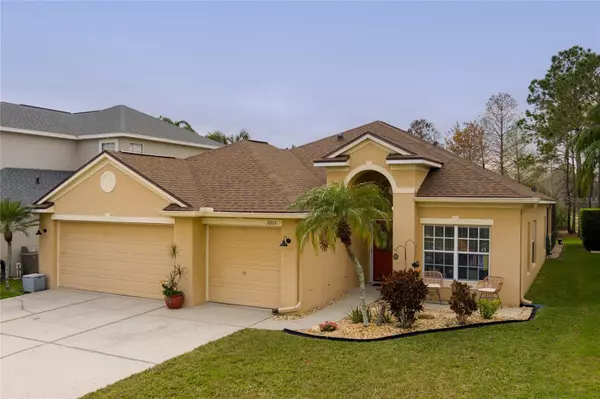 3203 SAGO POINT CT, Land O Lakes, FL 34639