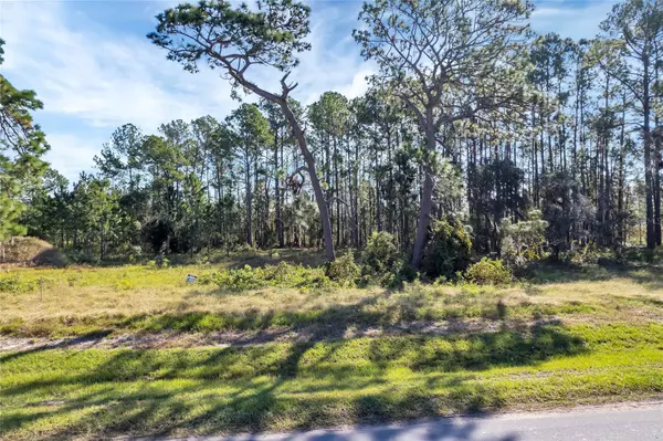 Umatilla, FL 32784,38514 WOODED MEADOW DR